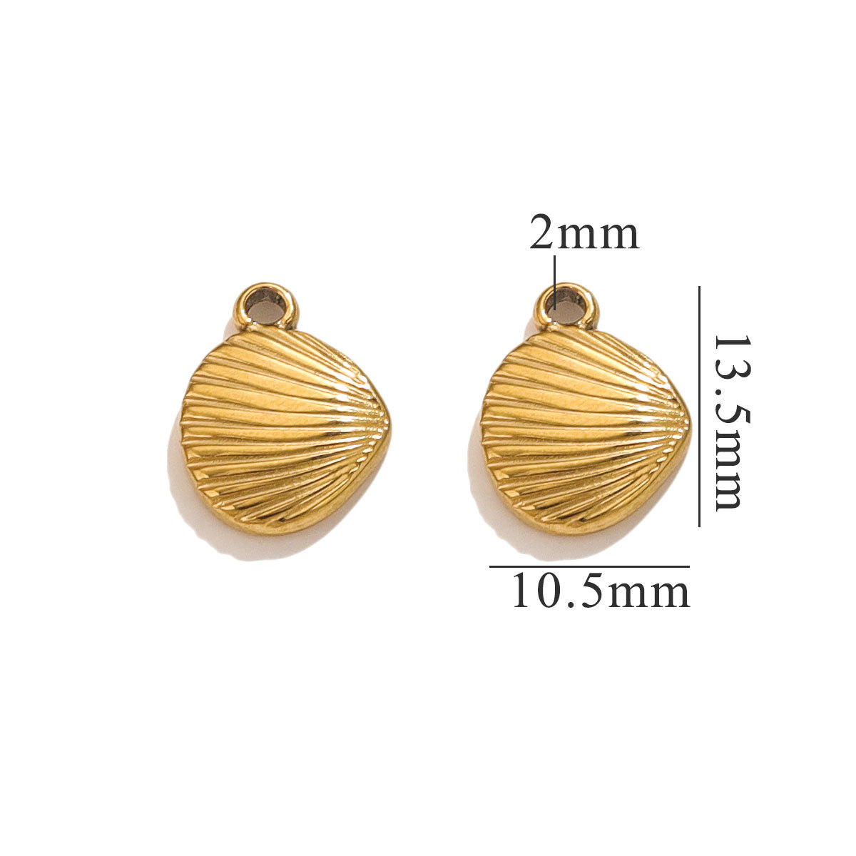 Coquille-Or