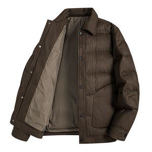 Veste d'hiver décontractée pour homme à capuche, petite taille, 90% de duvet, tissu en toile, design simple, style sportif polyvalent - Product Image 4