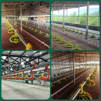 Équipement pour Élevage de Volailles Ligne d'Alimentation Automatique pour Poulets Système de Distribution d'Aliments