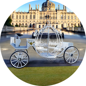 Carrosse de luxe en fer forgé avec citrouille pour mariages transport spécial à vendre - Product Image 5