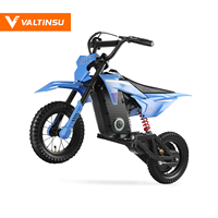 Moto électrique pour enfants 36V 500W 5.2Ah, directement de l'usine, pour le parc et les loisirs, pour les jeunes
