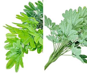 Planta verde en maceta <span class=keywords><strong>de</strong></span> plástico imitación bonsái árbol <span class=keywords><strong>Schefflera</strong></span> grande artificial al por mayor para la decoración del balcón del piso <span class=keywords><strong>de</strong></span> la Oficina <span class=keywords><strong>de</strong></span> la sala <span class=keywords><strong>de</strong></span> estar - Product Image 2