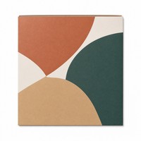 Pochette personnalisée pour disque vinyle 12 pouces, en carton, impression couleur, pour l'édition d'album