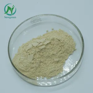 Newgreen Supply Food Grade Powder Feed Enzyme Xylanase With Bets Price Enzyme Xylanase