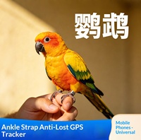 Traceur GPS pour oiseaux (perroquets, mynas, pie-grièches, pigeons, calopsittes, tourtereaux, cacatuaux) – Anneau de patte en PVC IP67 pour suivi et surveillance à distance