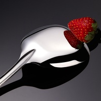 Cuillères carrées en acier inoxydable style coréen pour soupes épaisses, dîners, desserts, glaces, buffets, vaisselle de table, dorées