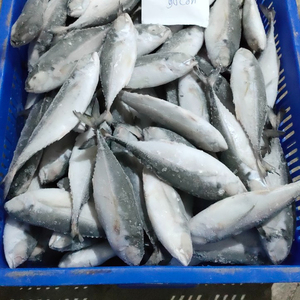 ปลาแมคเคอเรลแช่แข็งขายทั้งรอบร้อนอาหารทะเลแช่แข็งทั้งรอบ-Whatsap 0084 989 322 607 - Product Image 2