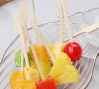 Brochettes plates jetables compostables en bambou, sans plastique, pour barbecue