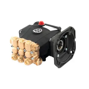 Ultra high pressure Small Electric Adjustable Pressure Water Jet Triplex Plunger Pump 80-500 BAR cleaning machine pump head