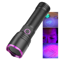 USB-C en aluminium rechargeable 18650 26650 AAA alimenté par batterie lumière noire filtre UV lampe de poche 365nm lampe de poche ultraviolette