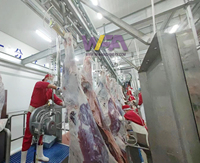 Abattoir Halal Clé en Main Abattoir Bovins Équipement de Traitement de la Viande Équipement d'Abattoir