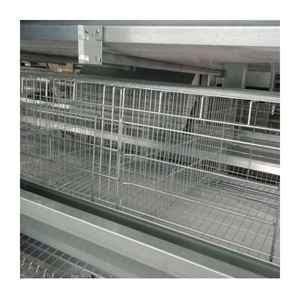 Nouvelle cage <span class=keywords><strong>à</strong></span> poulets automatique de type H pour poussins d'un <span class=keywords><strong>jour</strong></span>, avec une durée de vie de 15 <span class=keywords><strong>à</strong></span> 20 ans - Product Image 6