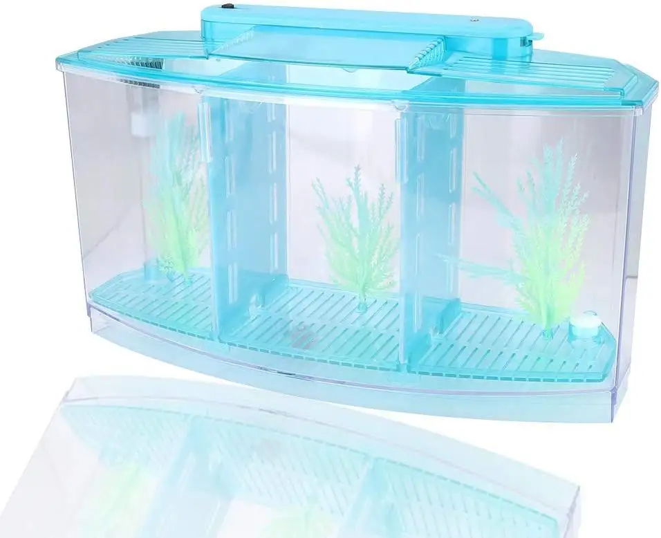 Aangepaste Verstelbare Acryl Kleine Vis Aquarium Moderne 3 Compartimenten Acryl Viscultuur Tank Voor Ras Visliefhebber