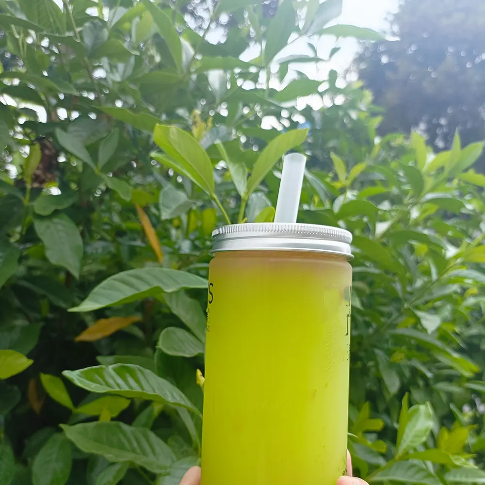 Quanhua uso único para bebida fria, eco-amigável, biodegradável, descartável, pla, canudos de beber