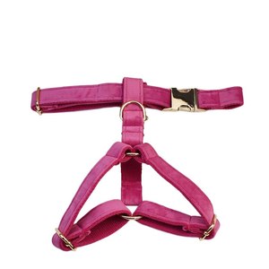 Pettorina per <span class=keywords><strong>Cani</strong></span> in Velluto Personalizzabile XS-XL, Logo Personalizzabile, Vari Colori e Taglie, Regolabile, Stile H, Accessorio Resistente - Product Image 3