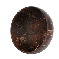 Ensemble de bols et de cuillères en bois de wengé et en coquille de noix de coco, lot de 2, style campagnard écologique, bols à salade de fruits et à dessert