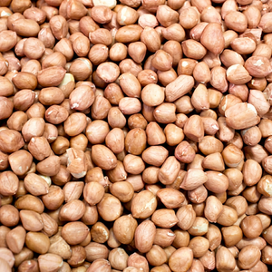 global fresh harvest peanuts new season Indian crop peanuts premium Indian crop groundnuts fresh Indian crop peanut <strong>kernels</strong> - Product Image 1