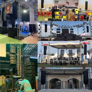 Pro Audio Dual 10 Inch <strong>Line</strong> <strong>Array</strong> System Active and Passive <strong>Indoor</strong> Outdoor Show Pro Audio Sound System <strong>Line</strong> <strong>Array</strong> <strong>Speakers</strong> - Product Image 6