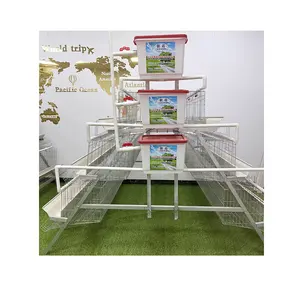 Hot Sale Galvanized Automatic A Type Battery Cage Chicken Cages Layer For Farm Equipment In Kenya