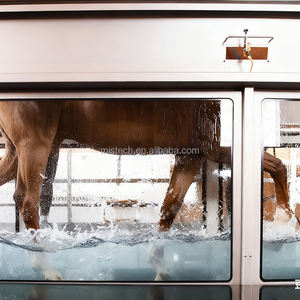 Modernes Wiederverwendbares Unterwasser-Laufband für Pferde aus Edelstahl – Outdoor-Wasser-Trainingsgerät für Pferdetraining & Rehabilitation - Product Image 4