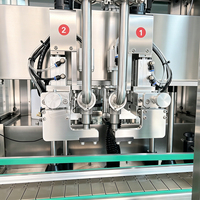 Ligne de production de machines de remplissage entièrement automatiques à 2 buses pour mayonnaise, shampoing, produits chimiques, détergents liquides et beurre