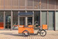 Bicicleta de Café Clásica de 3 Ruedas con Tanque de Agua, Caja de Dinero, Triciclo Eléctrico, Carrito de Comida Móvil en Venta