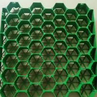 Pavé de grille d'herbe en plastique perméable HDPE de 48mm pour jardins pentes parkings de voiture allées d'herbe barrage-produits de terrassement
