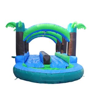 WINSUN Toboggan aquatique gonflable <span class=keywords><strong>tropical</strong></span> à double voie de qualité commerciale avec piscine pour adultes et enfants - Product Image 1