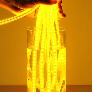 High Lumen SMD 2835 LED Strip, DC12V/24V, IP65 Waterproof, <b>USB</b> Remote, 5/50m Roll, OEM Custom, Shop Display - Product Image 1
