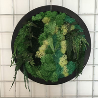 Mousse verte stabilisée en vrac pour décoration murale, fournitures d'art, mousse naturelle pour terrarium, centre de table, bricolage fait main, décoration murale pour la fête des Mères