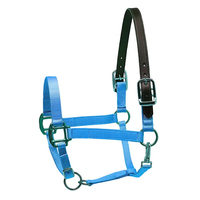 Vente en gros d'équitation Halter Premium Nylon Headstall de cheval Produits équins Cheval Halter Bridle Head Collar