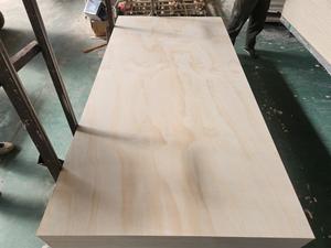 핫 세일 포플러 원목 판재 목재 가공용 모던 디자인 포름알데히드 방출 방수 접착 패널 - Product Image 6