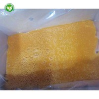 IQF Diepvries Passievrucht Halves 14 Brix Fabriekslevering voor Sapverwerking en Drankproductie