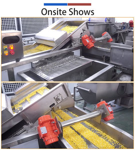 Chaîne de traitement des grains de maïs : Machine de décorticage, blanchiment et séchage à air pour maïs doux, conception industrielle - Product Image 4