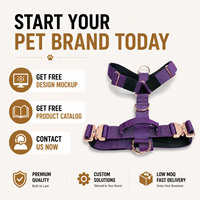 Ensemble collier et laisse pour chien de luxe, boucle en métal réglable, logo personnalisé, pour la course, la marche, l'entraînement, la randonnée des chiens