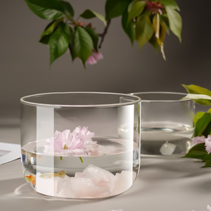 उच्च ग्रेड पारदर्शी ग्लास <span class=keywords><strong>vase</strong></span> सूक्ष्म परिदृश्य पारिस्थितिक हाइड्रोपोनिक बोतल शादी के लिए सरल प्राचीन डिजाइन - Product Image 3