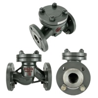 Clapet anti-retour industriel en acier au carbone à bride RF pour service vapeur, type élévateur, pour centrale électrique
