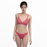 Soutien-gorge et slip en dentelle pour femmes Lingerie Factory Soft Cup Sheer Bra Panties Set Sexy Lace Transparent Ladies Bra