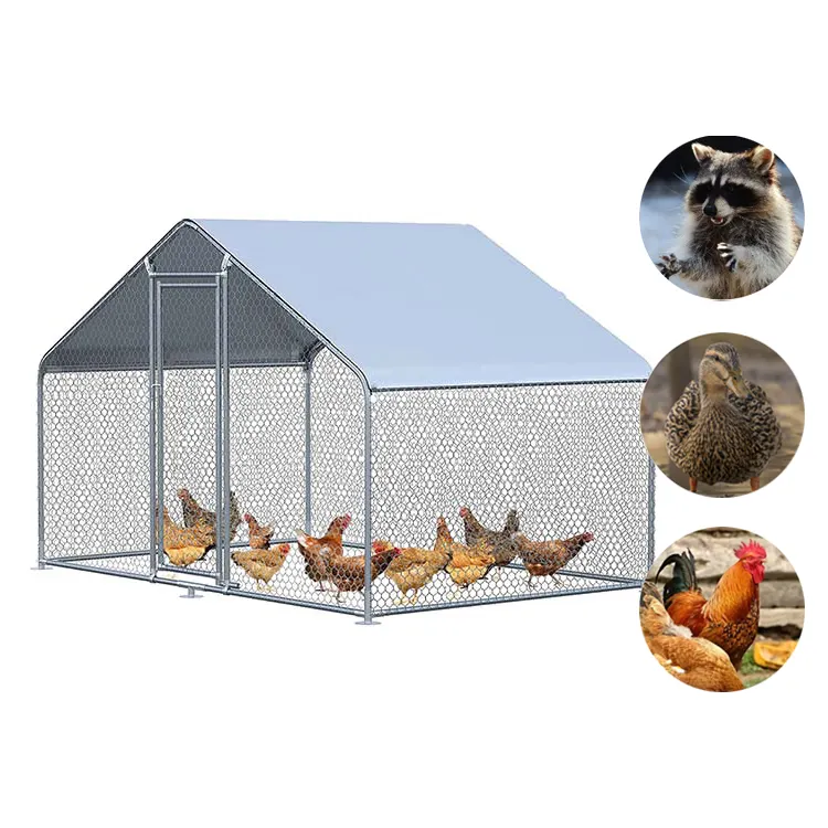 Fabricant de poulailler commercial Cage à poulets en treillis métallique pour l'extérieur Grands poulaillers Emballage en carton fourni Clapier à lapins 24