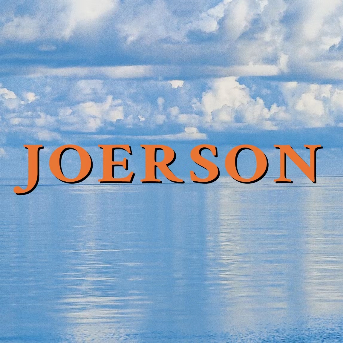 Shandong Joerson Trade Co., Ltd logo