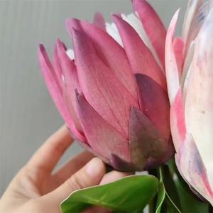 Fleur artificielle haut de gamme de type Protea, élégante fleur tropicale en soie pour la décoration de la maison, des mariages, des fêtes, de Noël et des remises de diplômes - Product Image 5