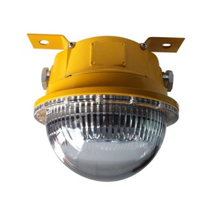 Luz LED a Prueba de Explosiones GMD8180-12W, 12W, Blanco Puro, T4, Nema 4X, 50000 Horas de Vida Útil - Product Image 3