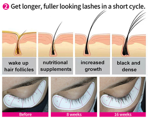 Sérums de croissance des cils en packs pour des cils plus épais et plus longs, sans huile, soin après application, lifting des cils - Product Image 3