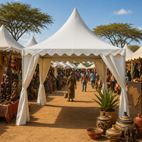 Nouvelle tente de stand d'exposition Duocai, tente gazebo 3x3 pour extérieur en promotion