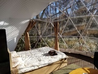 Dômes de glamping géodésiques en PVC imperméable pour l'extérieur, 4 saisons, pour hôtels, camping, événements, restaurant, maison transparente