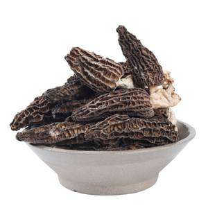 Funghi Morchella Esculenta Essiccati di Alta Qualità in Offerta - Product Image 1