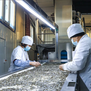 Graines <span class=keywords><strong>de</strong></span> <span class=keywords><strong>tournesol</strong></span> séchées <span class=keywords><strong>de</strong></span> qualité européenne, hybrides, prêtes à consommer, origine Shandong, prix par tonne, à vendre - Product Image 3