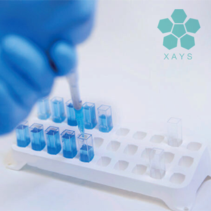 Pigment bleu de qualité supérieure Extrait de <span class=keywords><strong>spiruline</strong></span> E40 Phycocyanine en <span class=keywords><strong>poudre</strong></span> - Product Image 5