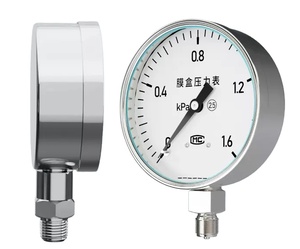 Manómetro Diferencial de Alta y Baja Presión de -100kpa~100kpa, Manómetro Diferencial WTR - Product Image 4