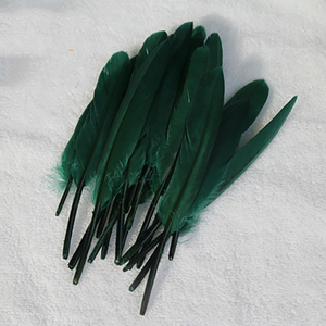 10-15CM/50 <span class=keywords><strong>racines</strong></span> <span class=keywords><strong>le</strong></span> fabricant vend directement des plumes d'oie DIY pour enfants matériaux faits à la main bijoux vêtements matériaux - Product Image 3